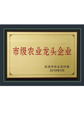 康德權(quán)