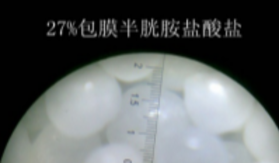 康德權(quán)