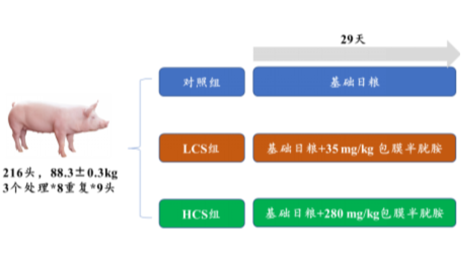 康德權(quán)